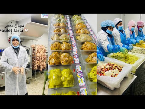طريقة تنظيف و تعمار الكوكلي : المنتوج الجديد اللي دار نجاح كبير 🐓