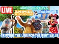 🔴Live: Multi Pass Day at Animal Kingdom &amp; Magic Kingdom Rides &amp; More  Disney World Livestream