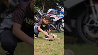 Little Kid Playing With Dangerous Lion Cub | Nouman Hassan |