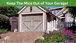 How To Keep Mice Out Of The Garage How To Keep Mice Out Of The Garage, How To Keep Mice From Eating Garage Door Seal