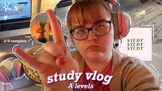study vlog || productive day in the life of an A level student during exam szn ✩‧˚౨ৎ˚✩‧