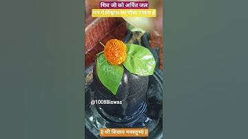 शिव जी को अर्पित जल, मन में विश्वास का पौधा उगाता है। #pandit_pradeep_ji_mishra #biswasmarg #shiv