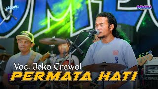 Permata Hati - Joko Crewol Ft Omega Music Live Randu Padangan