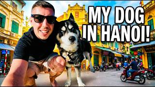 I Flew With My Dog to Hanoi 🐶🇻🇳 screenshot 5