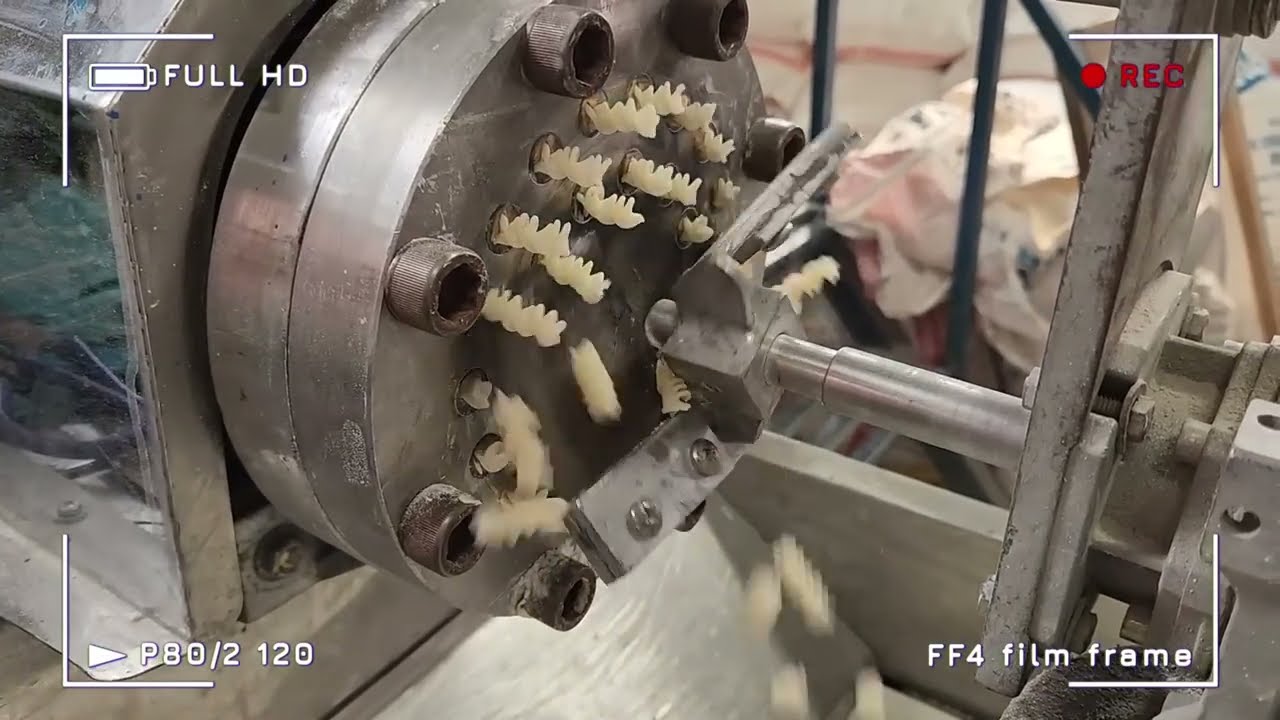 पास्ता, मैकरोनी मेकिंग बिज़नेस | Pasta Macroni Manufacturing Plant & Machine | Food Business 2022