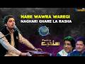 NARE NARE WAWRA WREGI || Pashto Song || Pashto Tappy || AVT Khyber