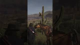 RDO fail compilation #rdr2 #rockstargames #reddeadredemption