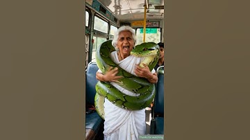 Lady Soldier Saves Grandmother and Bus Passengers from Snake Hiding in Wood 😭 #ai #army #save #bus
