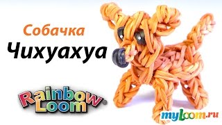 Чихуахуа  Собачка из резинок Rainbow Loom Bands. Урок 297 | Chihuahua dog Rainbow Loom(Чихуахуа Собачка из резинок Rainbow Loom Bands | Bracelet Rainbow Loom ☆ Купить наборы для плетения: http://myloom.ru/ ☀ Вступайте..., 2015-07-10T16:00:02.000Z)