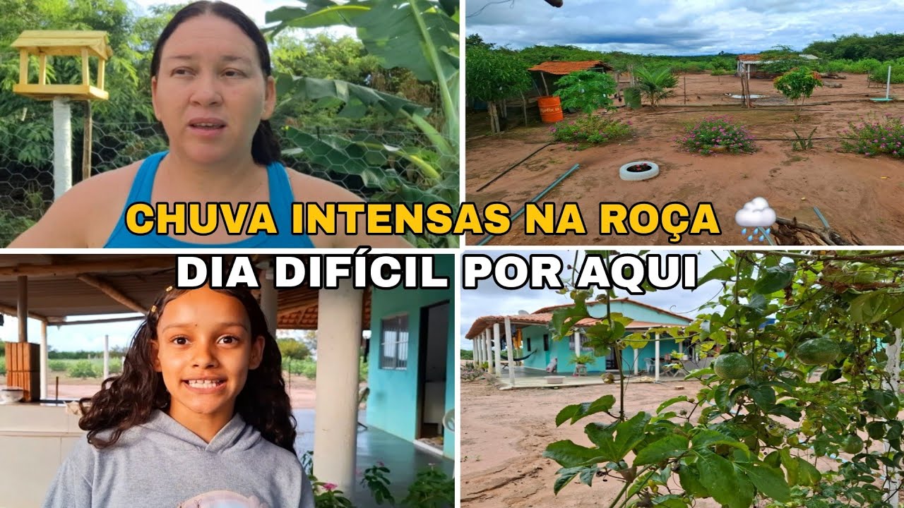  PORQUE ESTOU SUMIDA  DIA DIFÍCIL , TOUR  PELA AS PLANTAS DO SÍTIO CHUVAS INTENSAS 