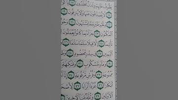 ما معنى"سدر مخضود"#سورة #الواقعه