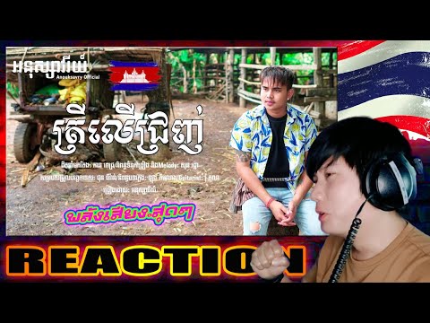 ត្រីលើជ្រញ់ អនុស្សាវរីយ៍Lyr นกฟักไข่ เพิ่งเคยเห็น ครั้งแรก Mother bird is incubating eggs