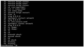 Enable "timestamp in history" command.
