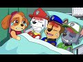 Unbelievable! BREWING CUTE BABY & CUTE PREGNANT!!! - Funny Life Story | PAW Patrol Ultimate Rescue