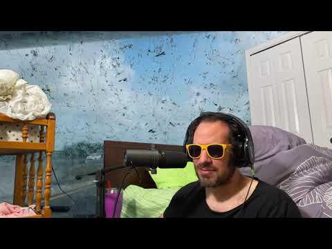No Bugs On My Windshield | Song A Day #4144