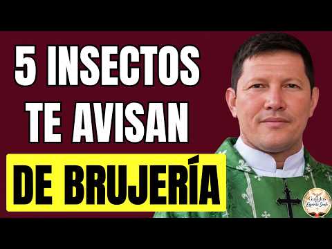 Si Ves Estos 5 INSECTOS en Tu Casa, Podrías Ser Víctima de BRUJERÍA |Explicación del Padre Luis Toro