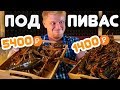 Славный Обзор ЖИВЫХ ЧЛЕНИСТОНОГИХ! Нестандартная ДОСТАВКА ЗАКУСИ. =)