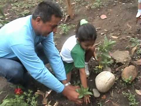 lagrimas del rio agustin esteban