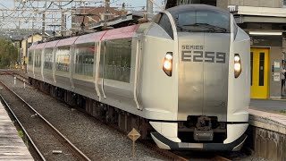 【列車番号】4014M  （※トップナン編成）E259系横クラNe001編成  #特急しおさい14号東京行 旭駅1番線ホーム発着