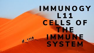 Immunology L11-   Lymphoid progenitor cell- part 2