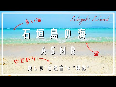 【ASMR】南国癒しBGM《自然音 × 映像》石垣島の青い海と波の音、ときどきヤドカリ