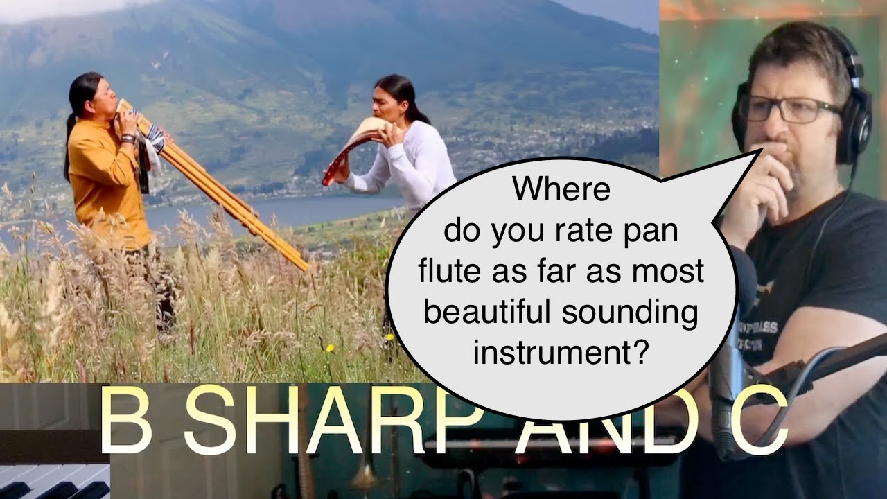 B Sharp And C - The Sound Of Silence by Wuauquikuna | Panflute | Toyos | - REACTION