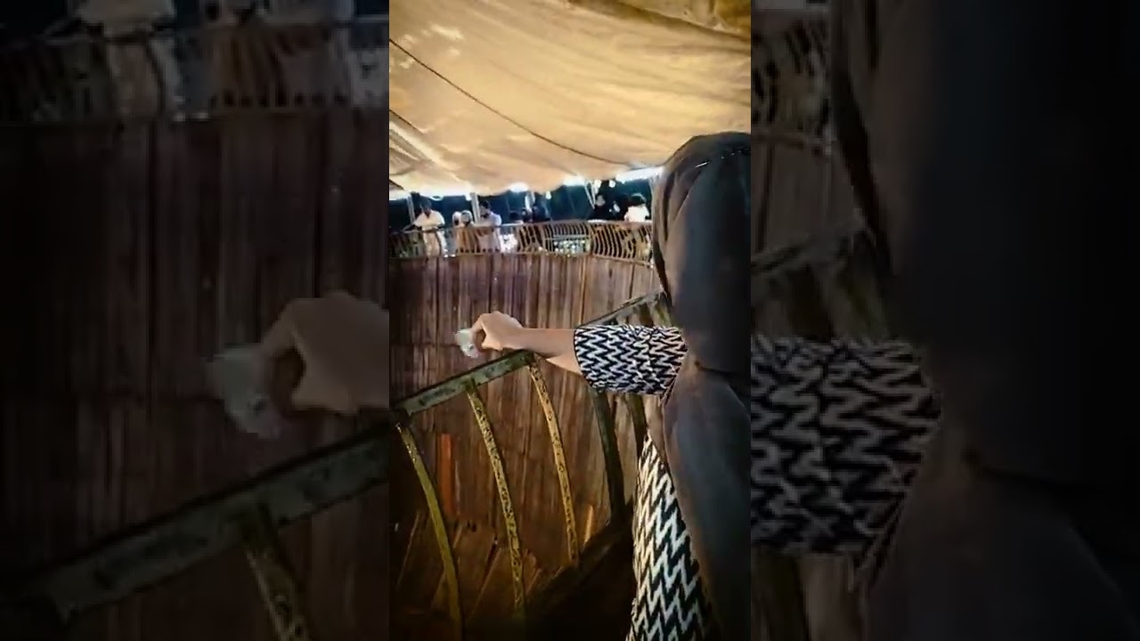 brave lady ne apna talent dikhaya😎😎