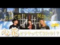 秘話 心花ってどうやってできたの