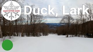 Mad River Glen - Duck to Lark