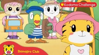 Shimajiro | Pendidikan Anak | Kakak yang Baik Ep. 5.3 - Kodomo Challenge