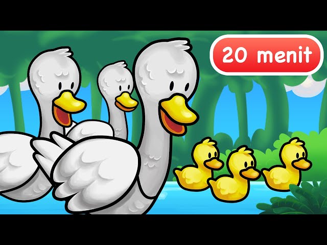 Lagu Anak Anak | Bebek Berenang | BaLiTa Baba Lili Tata class=