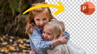 Powerpoint Tutorial - How to Remove Background From Image