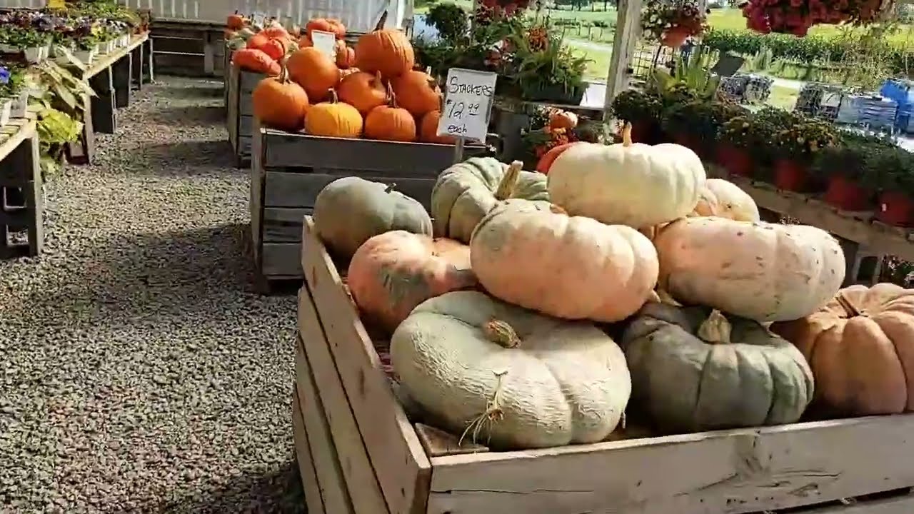 Bunker Hill, West VA 1776RM What Is Next? YouTube