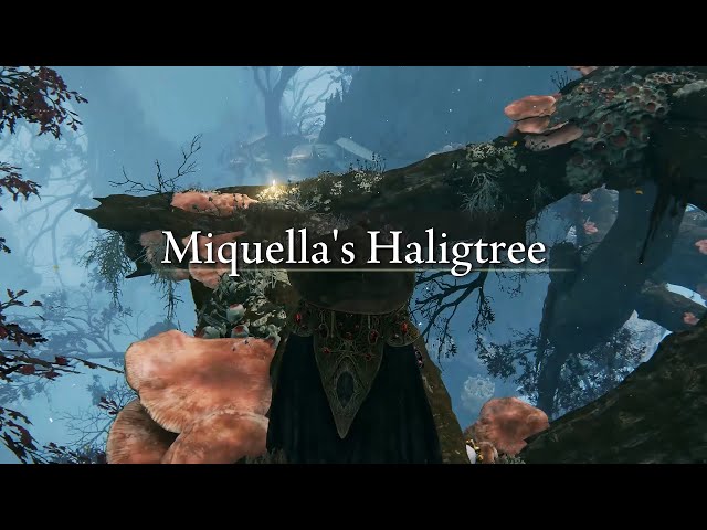 Elden Ring - How To Unlock Malenia & Elphael Secret Region 