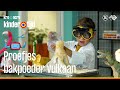 🔬🔍 Proefjes - Bakpoeder Vulkaan (Kindertijd KRO-NCRV)