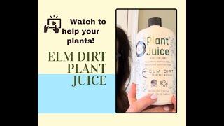 I Need Help with Plants! Elm Dirt Plant Juice Organic Plant Fertilizer helps! For Indoor or Outdoor