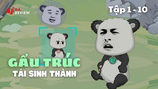 Tập 1 - 10 | Tái Sinh Thành Gấu Trúc | Gà Review