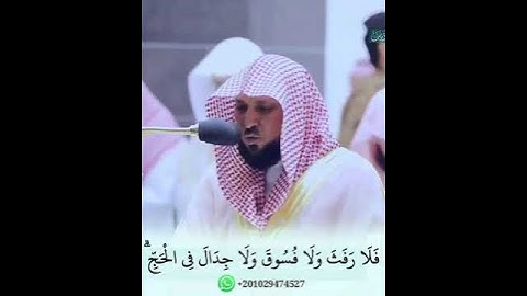 حالات واتس اب _ الحج أشهر معلومات   سورة البقرة الشيخ ماهر المعيقلي. maher - Al muaiqly 😍