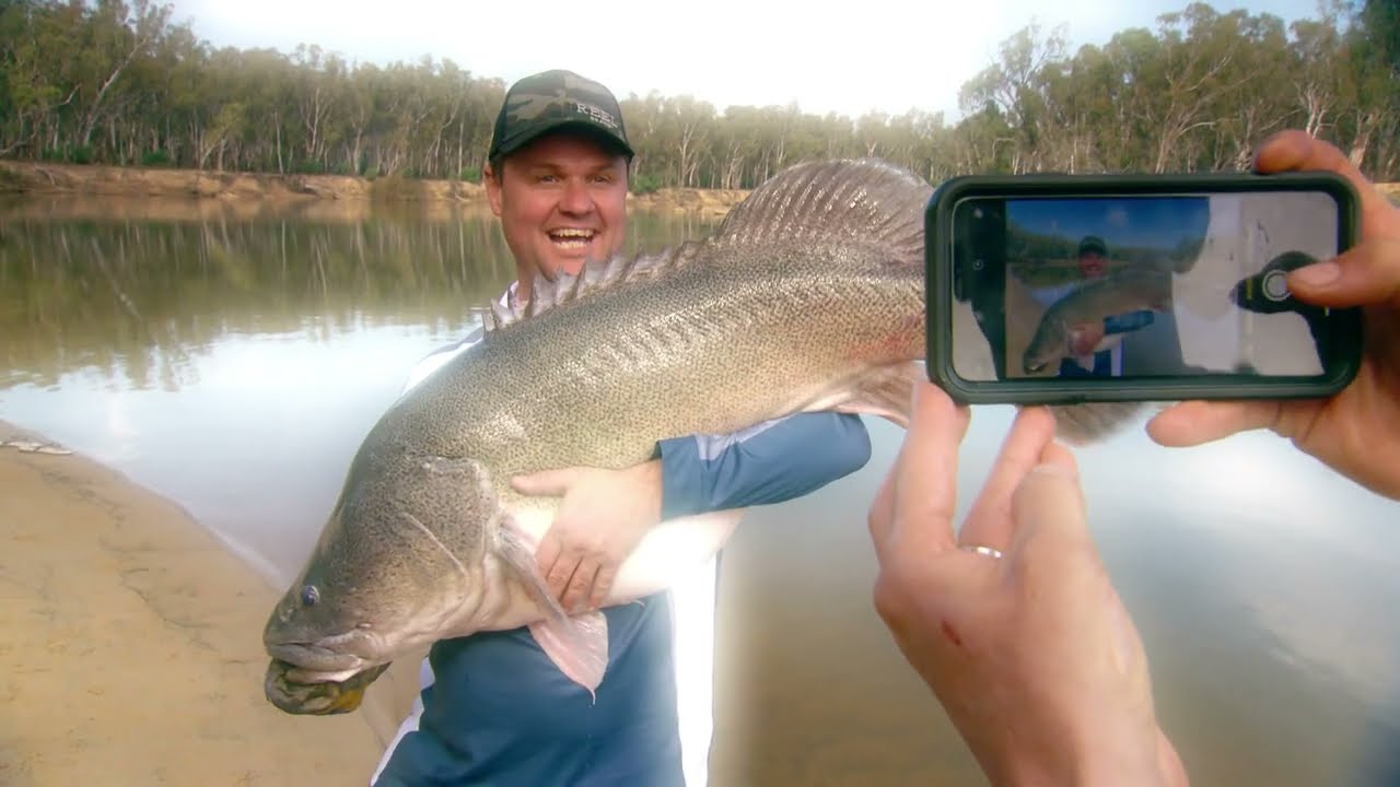 IFISHTV Mallacoota Dusky Flathead stocking