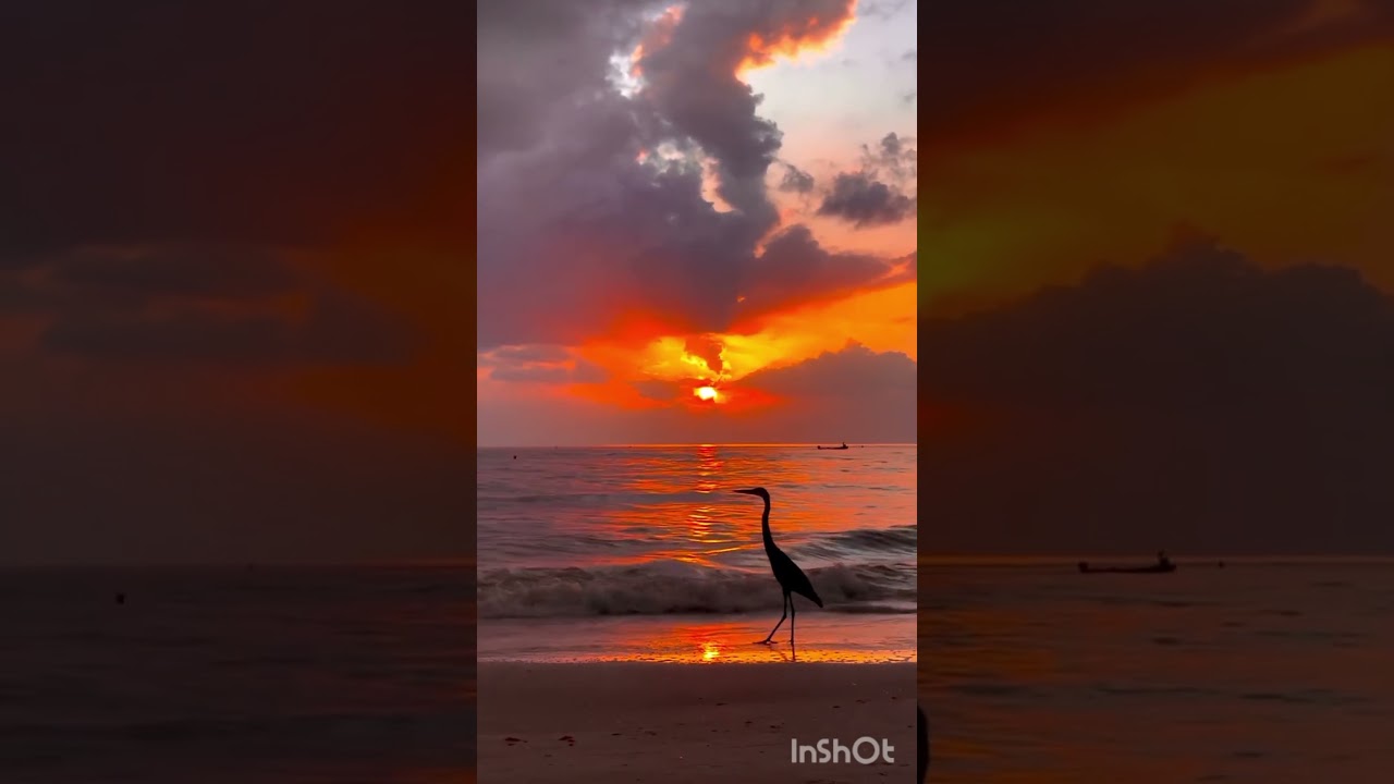 ‪@Танечка-25‬