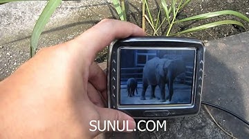 small size sunlight readable display transflective lcd