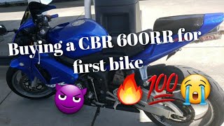 How to buy a CBR 600RR as your first bike 😈