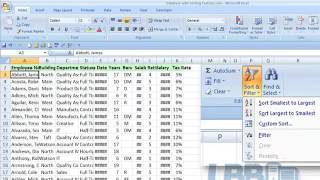 Sort and Filter - Excel 2007   MP4