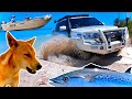 EXPERIENCE FRASER ISLAND BEST SPOTS Fishing & 4WD 2020