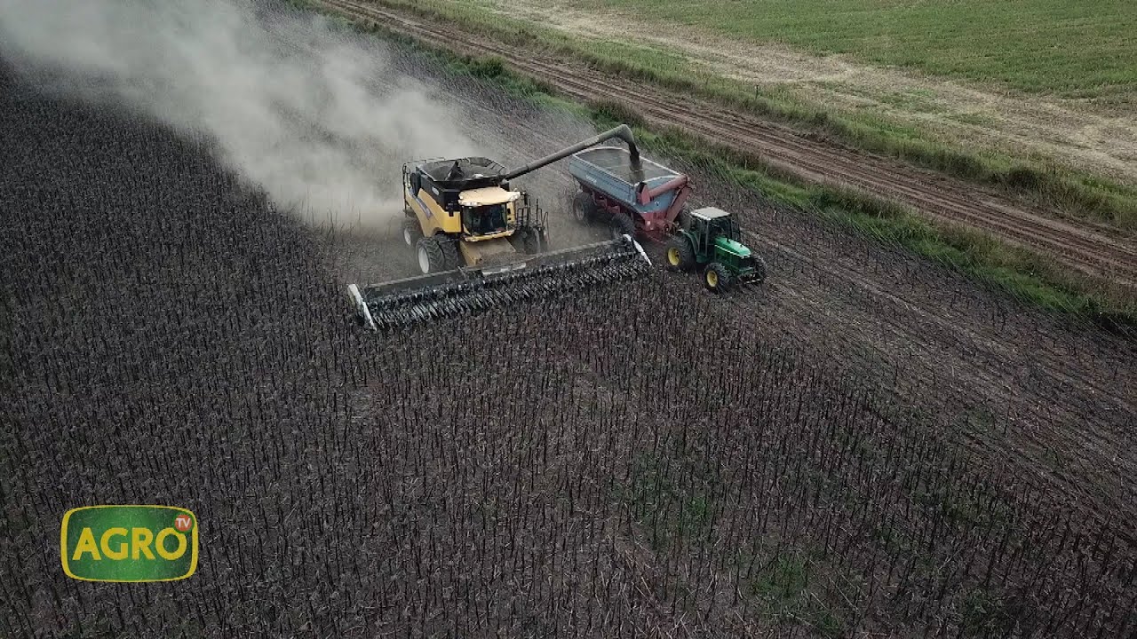 José Álvarez: Productor argentino que se viste de farmer (#974 2022-04-09)