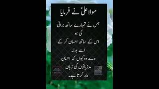 Jis Ny Tumhary Sath Brhai Ki Ho || goldenwords inspirationalquotes urdu