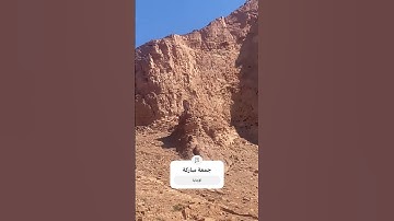 #محمد_الفقية #سورة_النحل #اكسبلور #فلسطين #المغرب #لايك