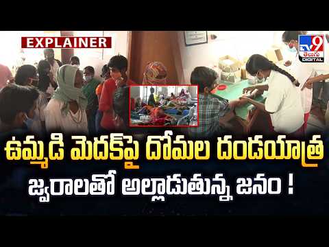 Explainer :  ఉమ్మడి మెదక్‌పై దోమల దండయాత్ర.. జ్వరాలతో అల్లాడుతున్న జనం! |  Medak Mosquito Menace - TV9