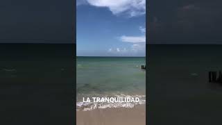 Respeto o miedo Mar Yucatán Chelém