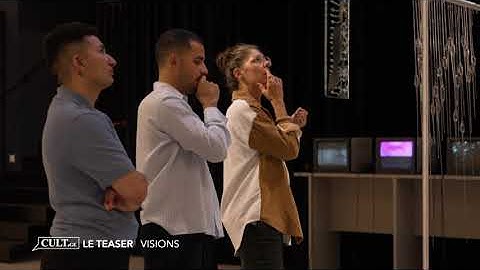 VISIONS - Exposition automne 2025 - Reportage Léman Bleu